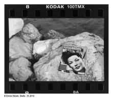 Paper Movie Star Ladies, Celluloid Icons