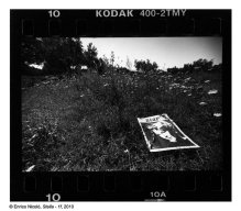 02_Stella-1f_002-002