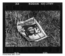 03_Stella-2f_003-003