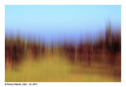 34_Ulivi-15_034