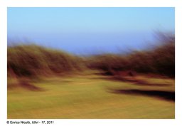 36_Ulivi-17_036