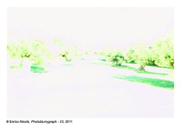 38_Ulivi-23_038