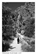 03b_The-Life-Traveller-5_005a
