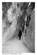 03d_The-Life-Traveller-11_003c